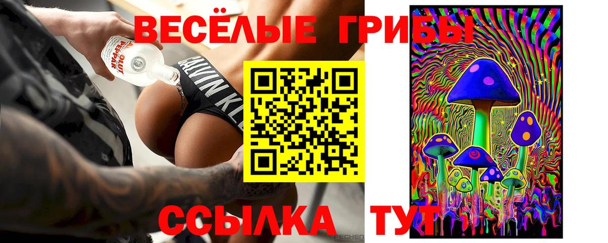 Красный Сулин  Галлюциногенные грибы Psilocybine cubensis  Вход с VPN 